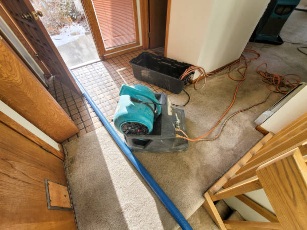 Best Local water damage restoration  in Raymond, IL