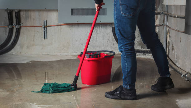 Best Residential water damage restoration  in Raymond, IL