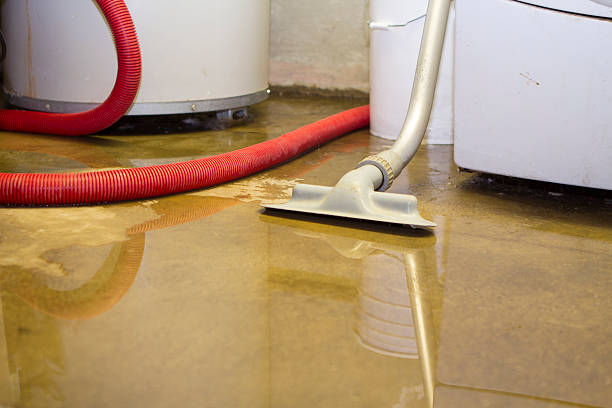 Best Basement water damage restoration  in Raymond, IL