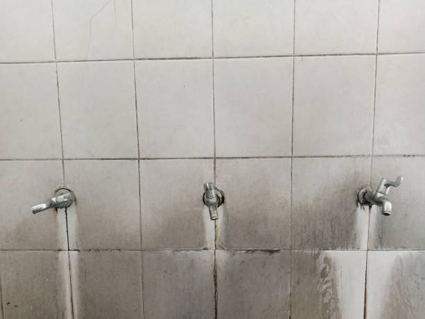 Best Flooded house restoration  in Raymond, IL