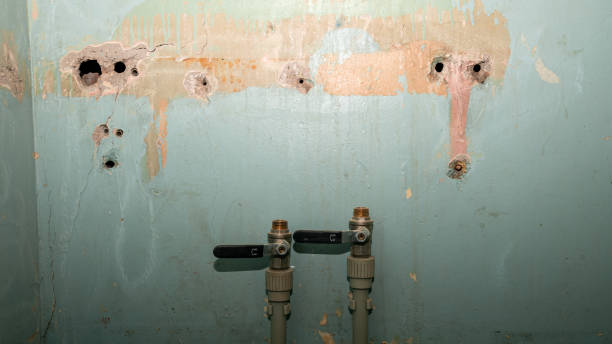 Best Commercial water damage restoration  in Raymond, IL
