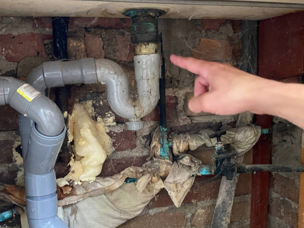 Best Ceiling water damage repair  in Raymond, IL